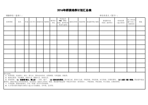 2016年师资培养计划表