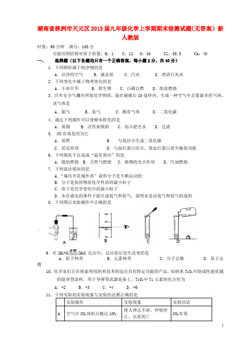 湖南省株洲市天元区2013届九年级化学上学期期末检测试题(无答案) 新人教版