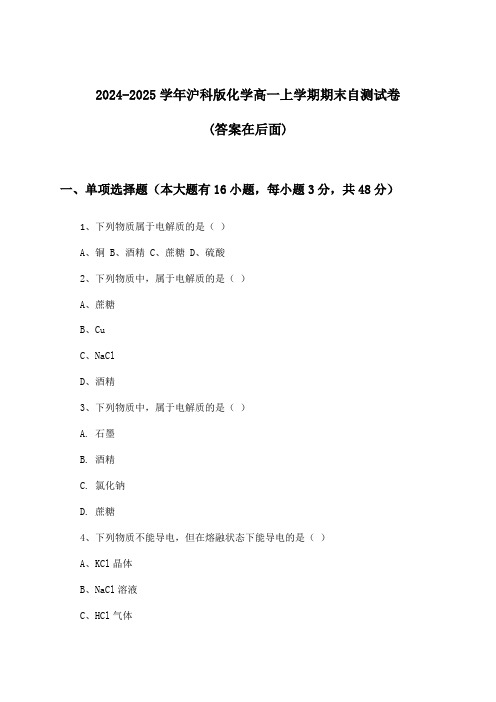 沪科版化学高一上学期期末试卷及解答参考(2024-2025学年)