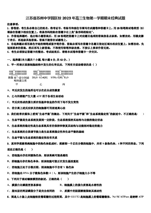 江苏省苏州中学园区校2023年高三生物第一学期期末经典试题含解析