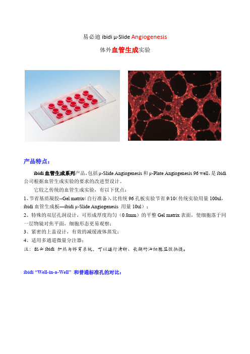 ibidi 易必迪血管生成体外实验Angiogenesis