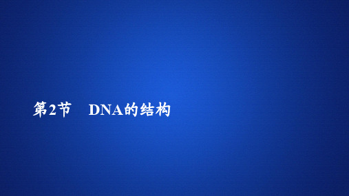 2020新教材生物人教版必修二习题课件：第3章 第2节DNA的结构 Word版含解析