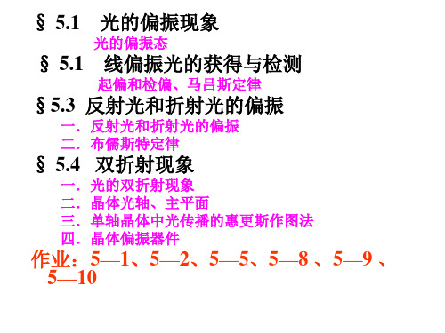 大学物理第五章1光的偏振