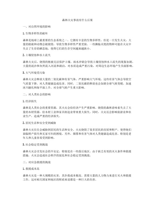 森林火灾事故有什么后果