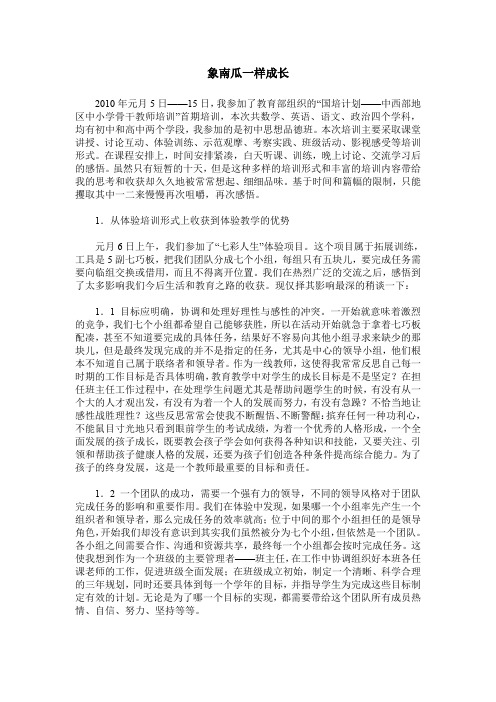 象南瓜一样成长