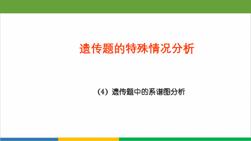 高中生物系谱图微课PPT课件