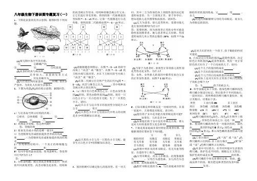 八年级生物下册识图专题复习(一)