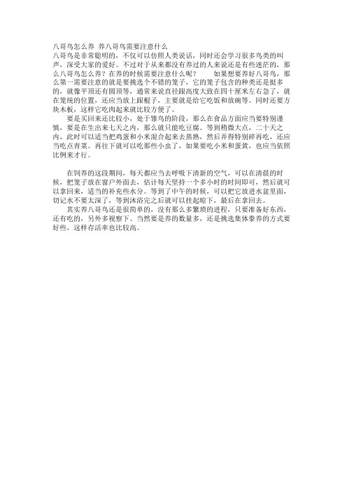 八哥鸟怎么养 养八哥鸟需要注意什么