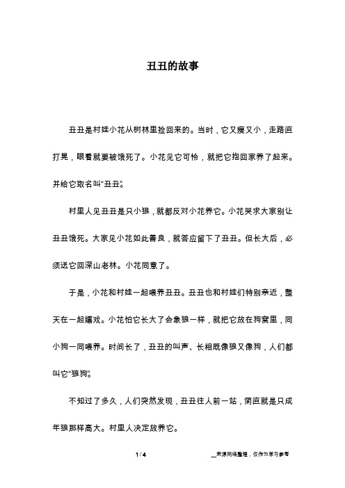 丑丑的故事