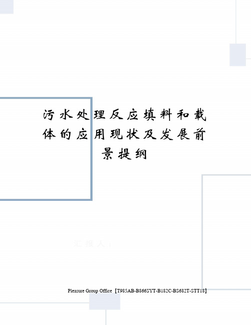 污水处理反应填料和载体的应用现状及发展前景提纲终审稿)