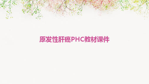 原发性肝癌phc教材课件