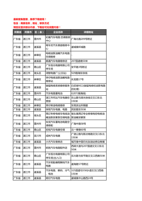 新版广东省湛江市汽车电器企业公司商家户名录单联系方式地址大全51家