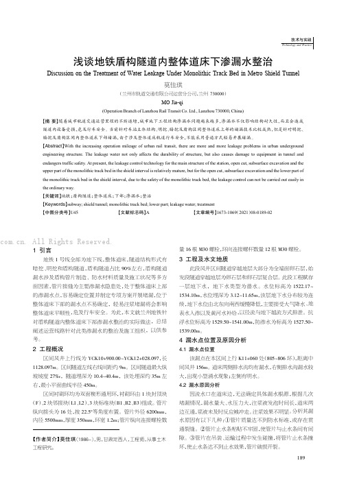 浅谈地铁盾构隧道内整体道床下渗漏水整治