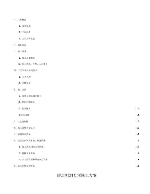 明洞专项施工施工方案