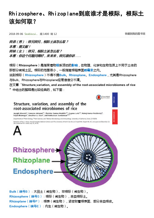 Rhizosphere、Rhizoplane到底谁才是根际,根际土该如何取?