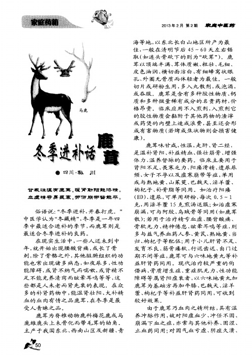 冬季进补话鹿茸