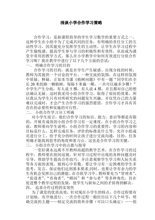 浅谈小学合作学习策略