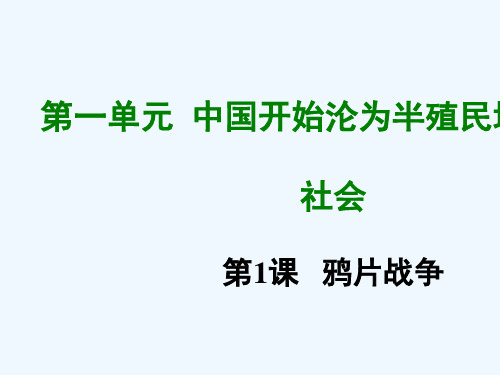 人教版八年级历史上册第一课 鸦片战争ppt课件