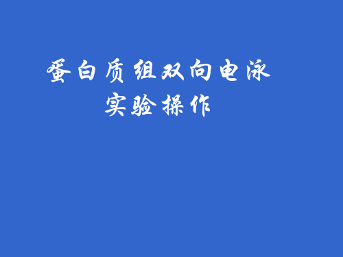 双向电泳原理及实验步骤