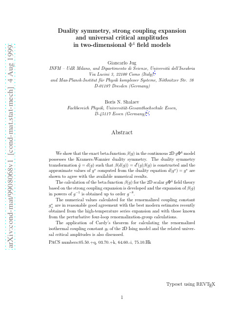 Duality symmetry, strong coupling expansion and universal critical amplitudes in two-dimens