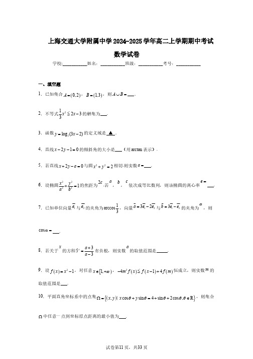 上海交通大学附属中学2024-2025学年高二上学期期中考试数学试卷