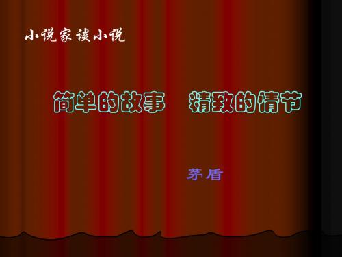 九年级语文苏教版上课件十四课小说家谈小说