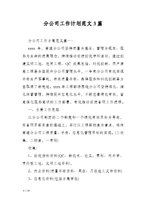 分公司工作计划范文3篇