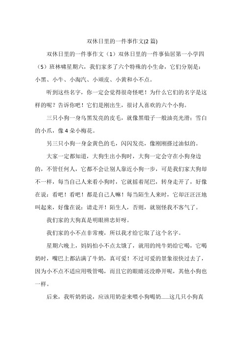 双休日里的一件事作文(2篇)