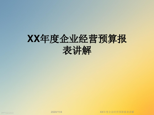 XX年度企业经营预算报表讲解