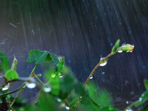 11册语文2《山雨》精品PPT课件