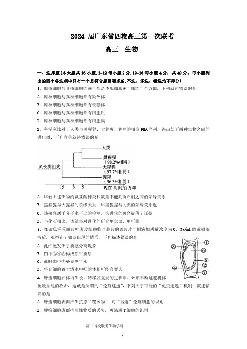 2024届广东省四校高三8月联考生物试题及答案