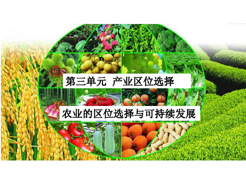 鲁教版 必修2 高中地理 3.1农业的区位选择与可持续发展 课件(29张PPT)