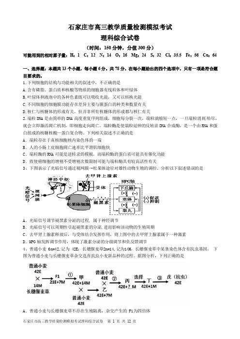 石家庄市高三教学质量检测模拟考试理科综合