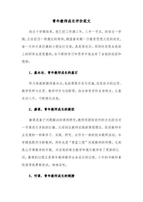 青年教师成长评价范文(六篇)