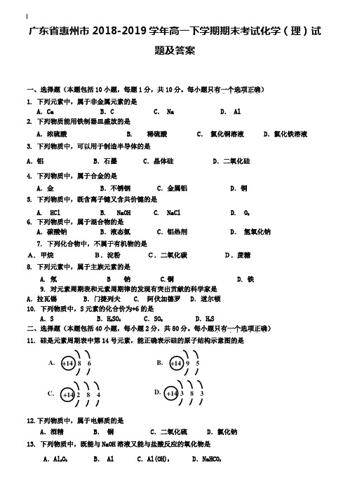 广东省惠州市2018-2019学年高一下学期期末考试化学(理)试题及答案