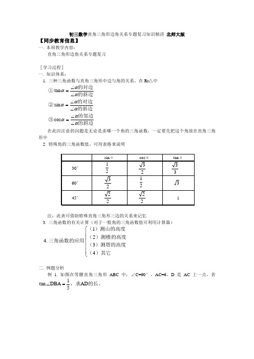 初三数学直角三角形边角关系专题复习知识精讲 北师大版