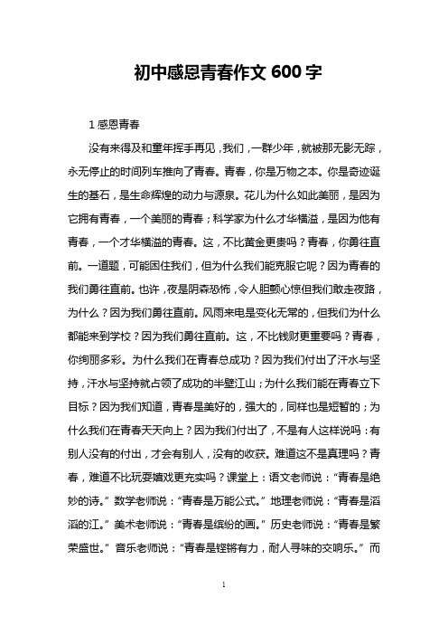 初中感恩青春作文600字