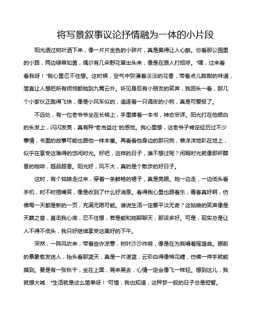 将写景叙事议论抒情融为一体的小片段