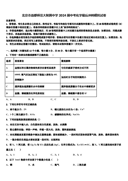 北京市首都师范大附属中学2024届中考化学最后冲刺模拟试卷含解析