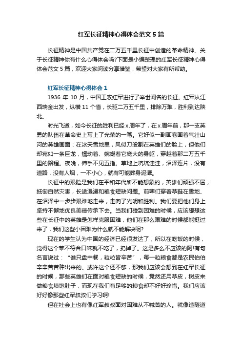 红军长征精神心得体会范文5篇