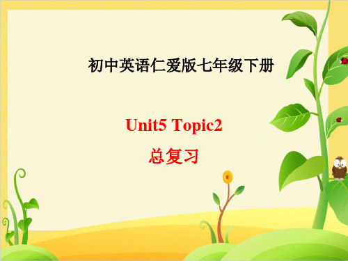 Unit 5 topic 2 总复习课件  仁爱版英语七年级下册