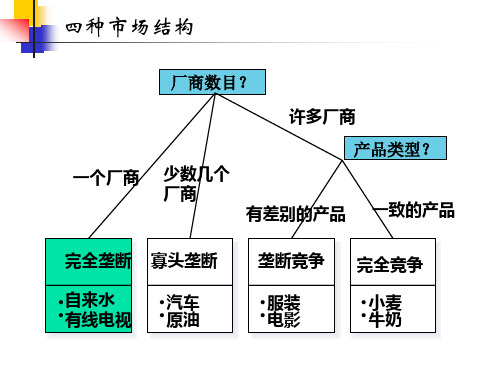 现代经济学第8章完全垄断市场