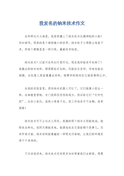 我发名的钠米技术作文