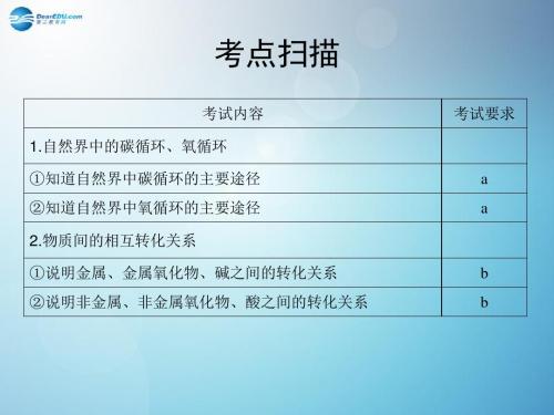 浙江省温州市龙湾区实验中学中考科学总复习物质间的循环与转化课件