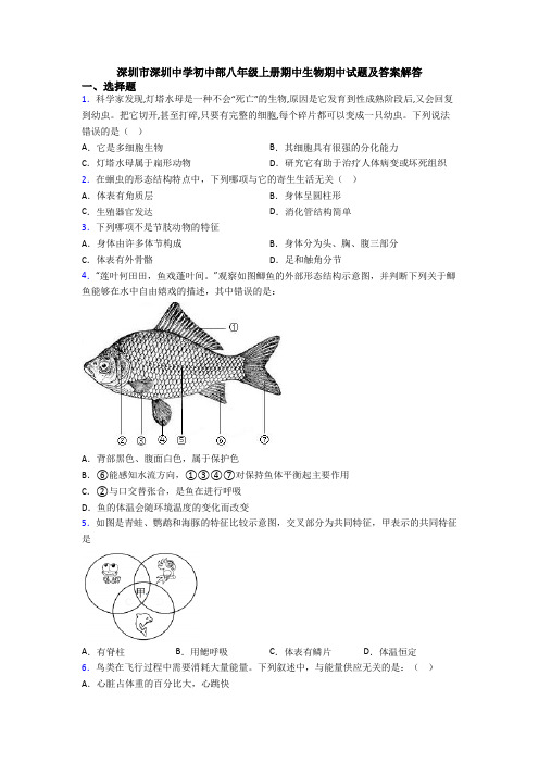 深圳市深圳中学初中部八年级上册期中生物期中试题及答案解答