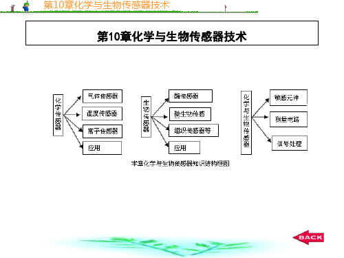 第10章化学与生物传感器技术