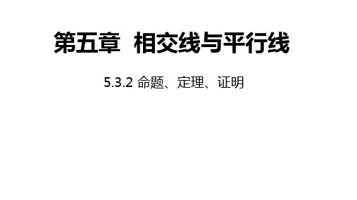 七年级数学人教版下册命题、定理、证明