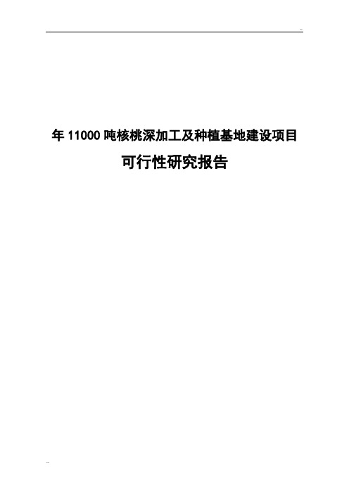 年11000吨核桃深加工及种植基地建设项目可行性研究报告