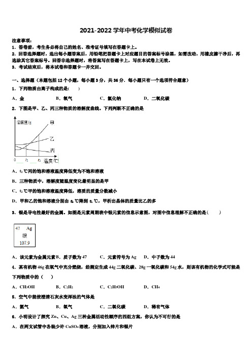 2022年江苏省盐城市大丰区第一共同体达标名校中考化学适应性模拟试题含解析