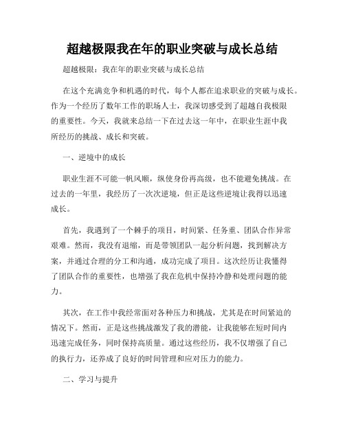 超越极限我在年的职业突破与成长总结